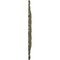 Ekena Millwork Durham Ceiling Medallion (Fits Canopies up to 4 1/4"), Hand-Painted Painted Turtle, 31"OD x 1 1/2"P CM31DUPTF - alternate 2